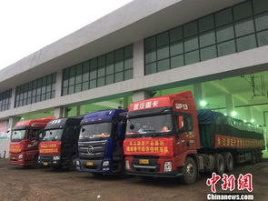 海口大型公益性農(nóng)副產(chǎn)品批發(fā)市場(chǎng)啟動(dòng)試運(yùn)營(yíng)，39家一級(jí)批發(fā)商入駐開(kāi)啟惠民新篇章