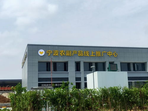 寧波農(nóng)副產(chǎn)品物流中心一期試運(yùn)營(yíng)開(kāi)啟 農(nóng)產(chǎn)品流通新樞紐，便捷交通指南助您暢行