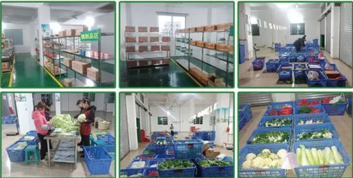 煜鮮農(nóng)副產(chǎn)品配送 從田間到餐桌，守護(hù)您的每一餐新鮮