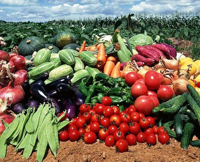 農(nóng)副產(chǎn)品“價(jià)賤傷農(nóng)”背后 價(jià)格低迷為何仍陷銷(xiāo)售困境？